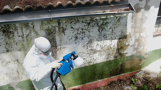 Top rated local Mold Remediation specialists in Cave Spring, VA